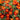 Marigold Seeds – Pygmy Red