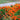 Marigold Seeds – Red Cherry