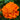 Marigold Seeds – Taishan Orange