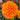 Marigold Seeds – Taishan Orange