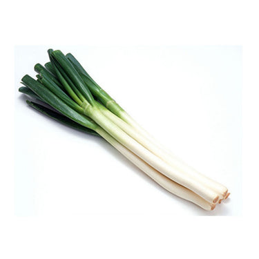 Evergreen Long White Bunching Onion Seeds