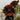 Midnight-Rouge-Sonnenblumen-Samen