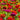 Mixed Perennial Flowers Seeds