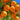 Nanfeng-Honigorange