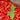 Nanking Cherry Seeds