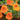 Nasturtium Seeds-Baby Yellow