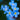 Night Blue-Forget-Me-Not Seeds