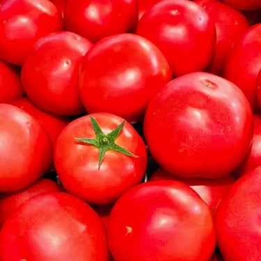 Non-GMO Heirloom Tomato Seeds for Planting