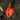 Orchidee – Masdevallia