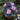 Painted Begonia Seeds-Purple Vein