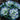 Painted Begonia Seeds – Aqua Frost