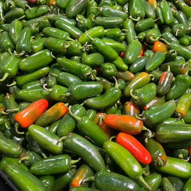 Pepper, Hot Jalapeno, Pot-a-Peño Hybrid