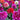 Perennial Dahlia Pompon Flower Seeds – Mixed Colors
