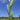 Perennial Ryegrass Seed