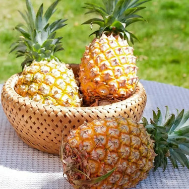 Perfume Pineapple