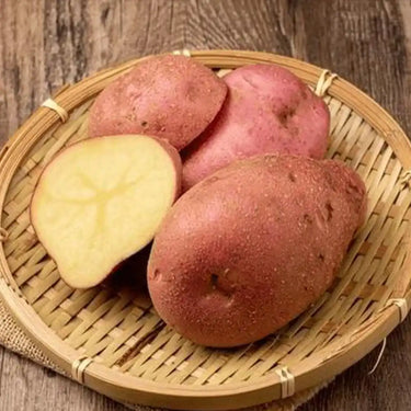 Semi di patata Zhongshuhong