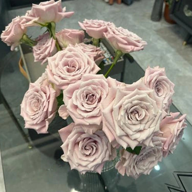Rare Pink Kite Roses