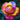 Seltene Rose-Firebird