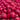 Red-Fleshed Dragon Fruit