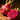 Red-Fleshed Dragon Fruit