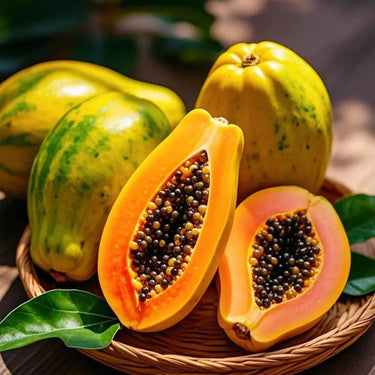 Red Lady Papaya