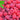 Red Raspberry