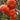 Rote Tangerine