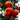 Rote Tangerine