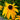 Rudbeckia-hirta-Samen – Starlight