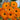 Calendula Seeds - Geisha Girl