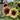 Sunflower Seeds-Purple Heart with Green Edges