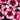 Super Parfait Raspberry Hybrid Dianthus Seeds