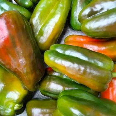 Sweet Pepper