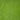 Tall Fescue Seed