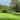 Tall Fescue Seed