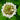 White Dutch Clover Seed