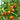 Winter Jujube Seeds