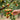 Winter Jujube Seeds