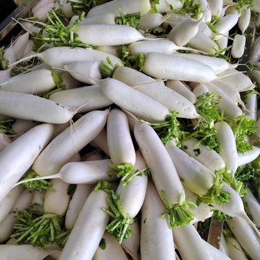 Organic White Daikon Radish Seeds