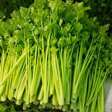 Celery Tango Organic