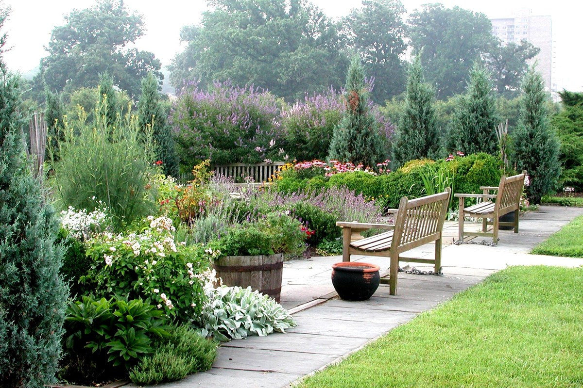 A varied herb garden growing in a natural outdoor planting space