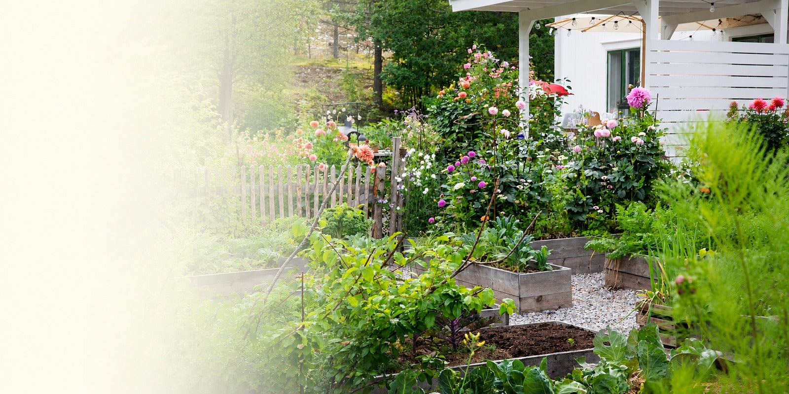 Gardeners selecting favorite flower and vegetable seed varieties
