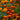 Marigold Seeds – Bolero