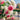 Fuchsia White Rose Seeds