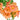 Morning Glory-Orange